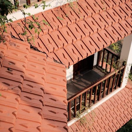 Anio Ha Giang Hotel Екстер'єр фото